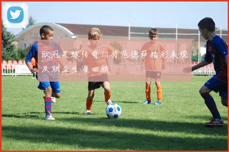 欧冠足球传奇门将范德萨精彩表现及职业生涯回顾